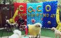 Ζάμπλουτος Κινέζος κάνει πανάκριβα δώρα στο σκύλο του - Φωτογραφία 6