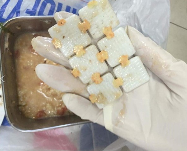 Χαλάνδρι: Μέχρι και κομμάτια από πλακάκια τοίχου έβαλαν σε τροφή για τα αδέσποτα - Φωτογραφία 2