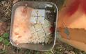 Χαλάνδρι: Μέχρι και κομμάτια από πλακάκια τοίχου έβαλαν σε τροφή για τα αδέσποτα - Φωτογραφία 1