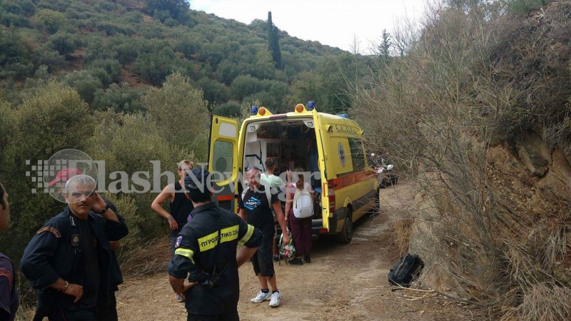 Τροχαίο με γουρούνες: Έπεσε σε γκρεμό 15 μέτρων [photos] - Φωτογραφία 5