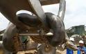 Γιγάντιο φίδι δέκα μέτρων βρέθηκε στη Βραζιλία [photos + video]