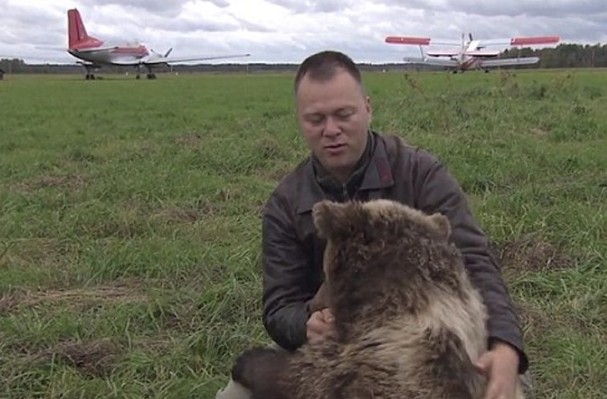 Ορφανό αρκουδάκι ζει σαν κατοικίδιο σε ρωσικό αεροδρόμιο [photos] - Φωτογραφία 6