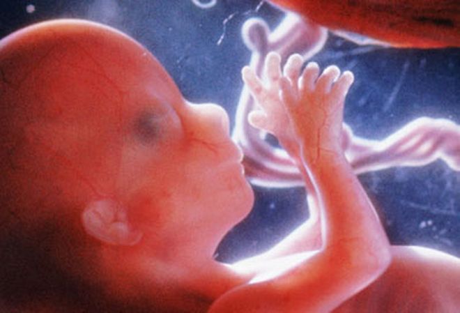 Από πιo μήνα αποκτά Ψυχή το έμβρυο; - Φωτογραφία 1