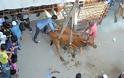 Η διάσωση αγελάδας και ταύρου με… γερανό από ταράτσα - Φωτογραφία 7