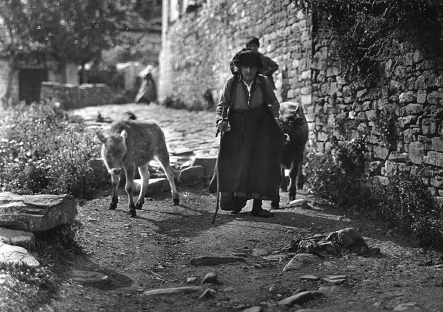 ΔΕΙΤΕ Αριστουργηματικές φωτογραφίες, από την Ελλάδα του 1903-1920... - Φωτογραφία 49