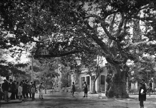 ΔΕΙΤΕ Αριστουργηματικές φωτογραφίες, από την Ελλάδα του 1903-1920... - Φωτογραφία 8