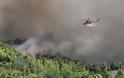 Εύβοια: Φωτιά τώρα ανάμεσα στα χωριά Μίστρο και Σέτα - Σε εξέλιξη πυρκαγιά και στο Ηράκλειο!