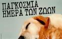 Μήνυμα φιλοζωικής ευαισθητοποίησης από το Δήμο Αμαρουσίου, με αφορμή την Παγκόσμια Ημέρα των Ζώων