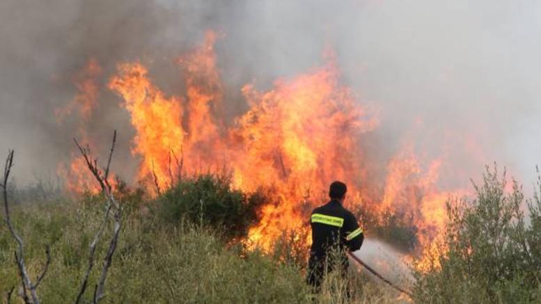 “Κύκλωσαν” τη φωτιά οι πυροσβέστες που καίει στην περιοχή του Επανωσήφη - Φωτογραφία 1