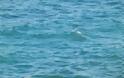 Καταρρακωμένη η Χαρούλα Αλεξίου - ΛΥΘΗΚΕ ΤΟ ΜΥΣΤΗΡΙΟ με το πτώμα στη θάλασσα - Φωτογραφία 3