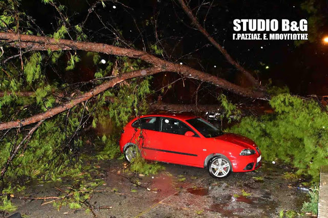 Τεράστια προβλήματα δημιούργησε η καταιγίδα που ξέσπασε στην Αργολίδα απόψε το βράδυ [photos] - Φωτογραφία 13
