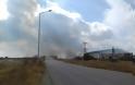 Στις φλόγες η Εγνατία Οδός στην Ξάνθη - Πυρκαγιά παραπλεύρως του δρόμου στο Μαγικό [video] - Φωτογραφία 2