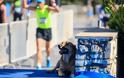 Ηράκλειο: Τα σκυλιά που έτρεξαν στον Ημιμαραθώνιο, το … ανέβασμα στο βάθρο και η ιστορία τους