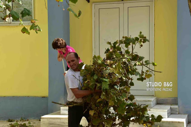 Δέντρο κόπηκε στη μέση και έπεσε πάνω στο Εργατικό Κέντρο Ναυπλίου - Φωτογραφία 3