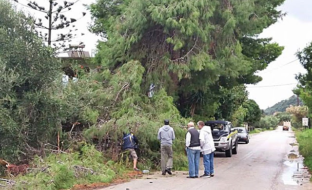 Ανεμοστρόβιλος ξήλωσε σκεπές και έριξε δέντρα στη Ζάκυνθο - Ζημιές σε Λαγανά, Τσιλιβί και Βασιλικό - Φωτογραφία 2