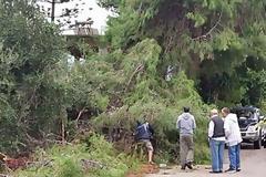 Ανεμοστρόβιλος προκάλεσε ζημιές στη Ζάκυνθο [photo]
