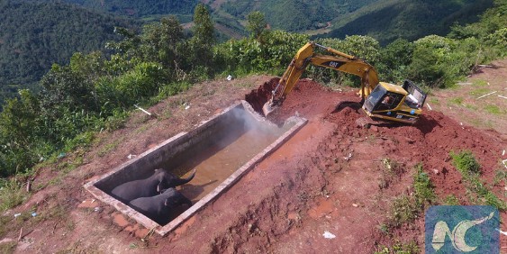 Διάσωση τριών ελεφάντων με εκσκαφέα στην Κίνα [photos] - Φωτογραφία 2