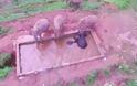 Διάσωση τριών ελεφάντων με εκσκαφέα στην Κίνα [photos] - Φωτογραφία 3