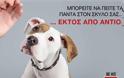 Εκστρατεία ευαισθητοποίησης για τη φιλοζωία από τον Παγκόσμιο Οργανισμό για την Υγεία των ζώων