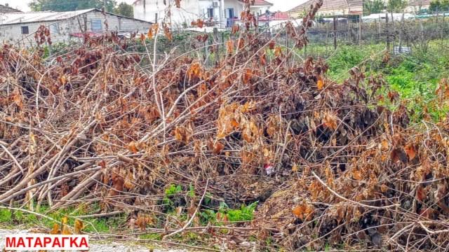 «Απέραντη χωματερή θυμίζουν Ματαράγκα, Σοφάδες και άλλα χωριά του Δ. Σοφάδων» - Φωτογραφία 2