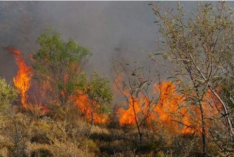 Σε εξέλιξη πυρκαγιά στην Ανδρο - Ισχυροί άνεμοι στην περιοχή - Φωτογραφία 1
