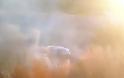 Πάφος: Αυτοκίνητο τυλίχθηκε στις φλόγες στον αυτοκινητόδρομο παρά την έξοδο Μανδριών