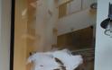 ΓΙΑΝΝΕΝΑ: Αντιεξουσιαστές «επιτέθηκαν» με σπρέι και μπογιές,σε καταστήματα και πολυκαταστήματα στο κέντρο της πόλης [photos] - Φωτογραφία 2