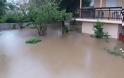 Έντονα καιρικά φαινόμενα και στην Ηλεία  - Δεκάδες περιοχές πλημμύρισαν [photos] - Φωτογραφία 8