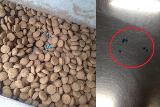 Βοιωτία: Βρήκαν δηλητήριο ανακατεμένο με την τροφή για τα αδέσποτα σκυλιά σε ταΐστρα στο Σχηματάρι - Φωτογραφία 1