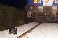 ΤΡΑΓΩΔΙΑ: Τρένο παρέσυρε και ΣΚΟΤΩΣΕ 17χρονη κοπέλα απο την Θεσσαλονίκη - Σοκάρουν οι εικόνες