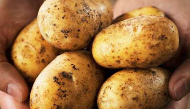 Πότε οι πατάτες μπορεί να προκαλέσουν δηλητηρίαση - Φωτογραφία 1
