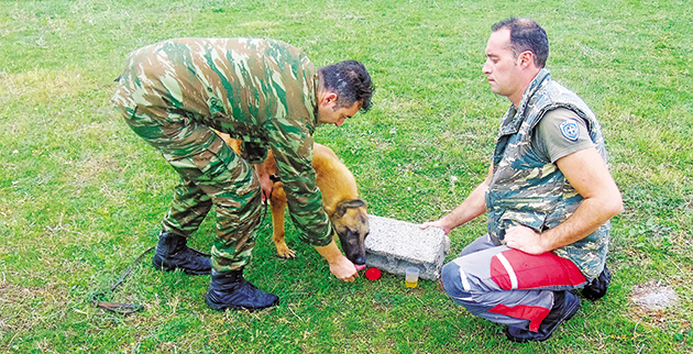 Ο στρατιωτικός σκύλος που «μυρίζει» τον καρκίνο - Φωτογραφία 2