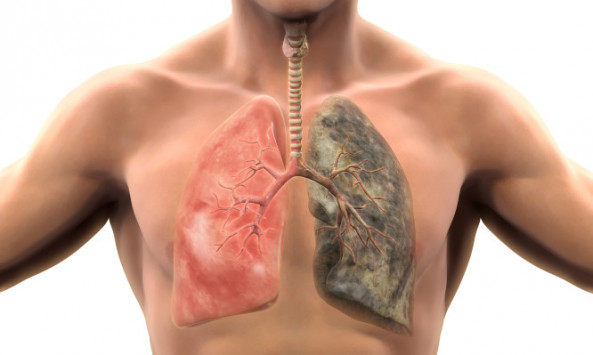 Σε πόσο καιρό θα καθαρίσουν οι πνεύμονες, αν κόψετε σήμερα το κάπνισμα - Φωτογραφία 1