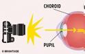 Ο πραγματικός λόγος που τα μάτια μας βγαίνουν κόκκινα στις φωτογραφίες - Φωτογραφία 2