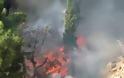 Η παρατεταμενη ανομβρία στην Λέσβο σήμανε συναγερμό στην Πυροσβεστική - Φωτιές σε Μορια, Μυστεγνα, Πληγωνι, Ερεσο