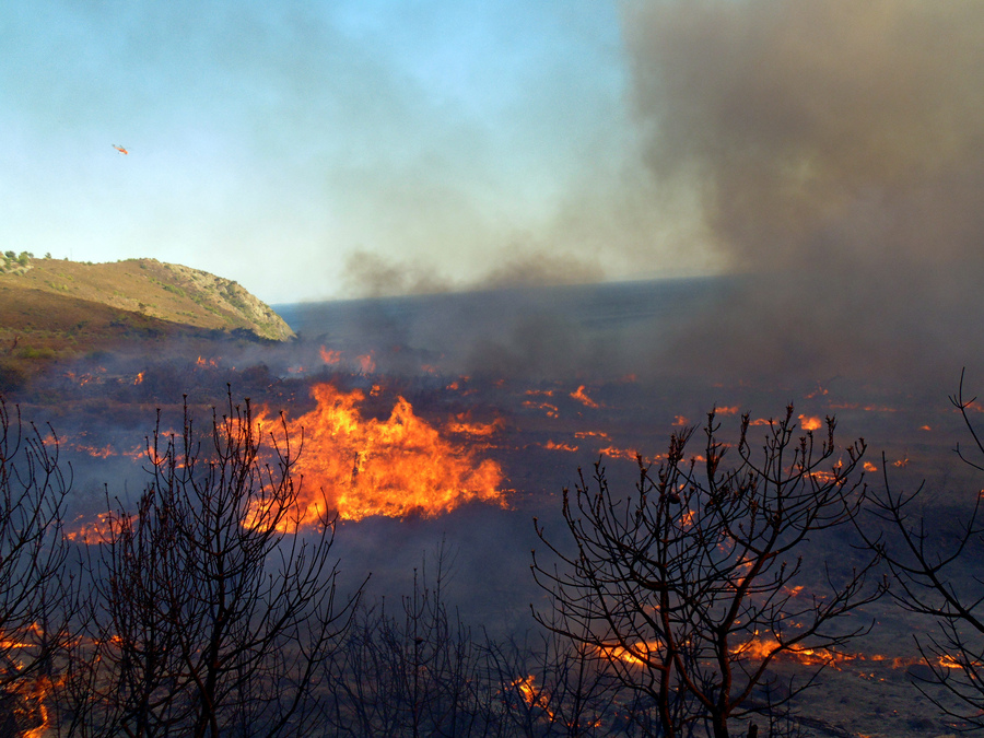 Απαγορεύονται οι φωτιές στην Λέσβο έως 15/11 λόγω αυξημένης επικινδυνότητας από την παρατεταμένη ανομβρία - Φωτογραφία 1
