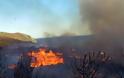 Απαγορεύονται οι φωτιές στην Λέσβο έως 15/11 λόγω αυξημένης επικινδυνότητας από την παρατεταμένη ανομβρία