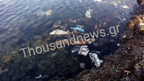 Ένας απέραντος σκουπιδότοπος δημιουργήθηκε στην παραλία της Καλαμαριάς [video] - Φωτογραφία 1