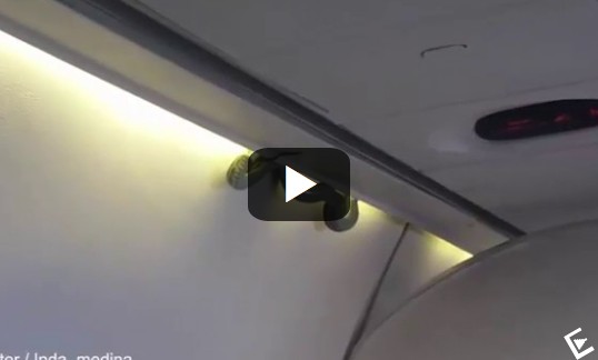 ΣΟΚ! Φίδι πέφτει από την οροφή πάνω σε επιβάτες αεροπλάνου [video] - Φωτογραφία 1