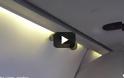 ΣΟΚ! Φίδι πέφτει από την οροφή πάνω σε επιβάτες αεροπλάνου [video]
