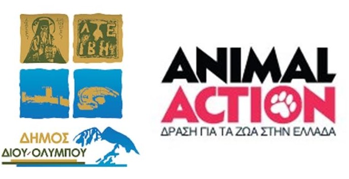 Η GAWF/Animal Action στο Λιτόχωρο - Σε συνεργασία με το Δήμο Δίου – Ολύμπου και τον «Περίτα» - Φωτογραφία 1