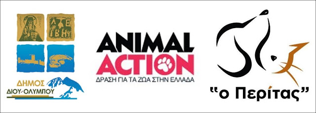 Η GAWF/Animal Action στο Λιτόχωρο - Σε συνεργασία με το Δήμο Δίου – Ολύμπου και τον «Περίτα» - Φωτογραφία 2
