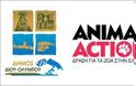 Η GAWF/Animal Action στο Λιτόχωρο - Σε συνεργασία με το Δήμο Δίου – Ολύμπου και τον «Περίτα» - Φωτογραφία 2