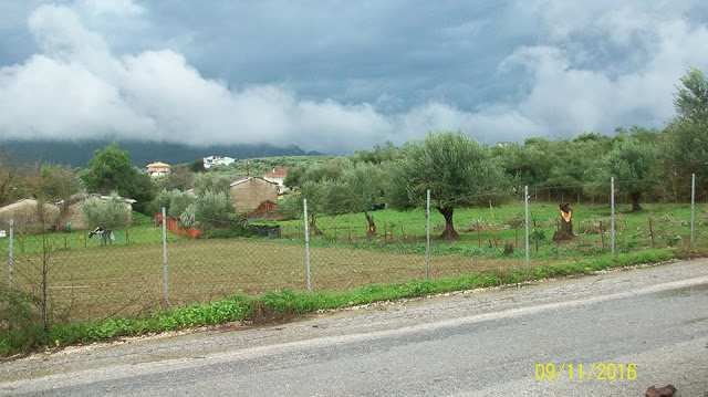 Ανεμοστρόβιλος Χτύπησε τον Λούρο [photos] - Φωτογραφία 4