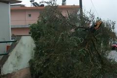 Ανεμοστρόβιλος Χτύπησε τον Λούρο [photos]