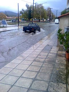 Έβρεξε προβλήματα στη Θράκη - Πτώσεις δέντρων, πλημμυρισμένοι δρόμοι και διακοπές ρεύματος - Φωτογραφία 2
