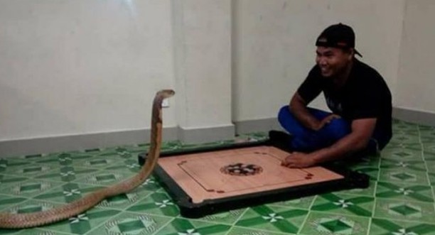 Παντρεύτηκε ένα φίδι γιατί του έμοιαζε με την αγαπημένη του που είχε πεθάνει - Φωτογραφία 1