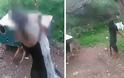Θεσπρωτία: Κρέμασαν σκύλο σε δέντρο - Φωτογραφία 1