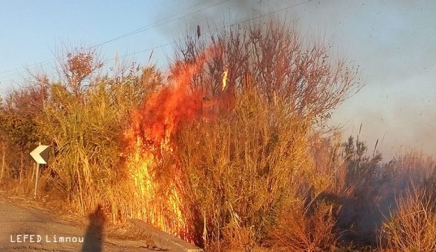 Και πάλι πυρκαγιά στην Λήμνο, πήρε φωτιά μέχρι και κολόνα της ΔΕΗ - Φωτογραφία 2