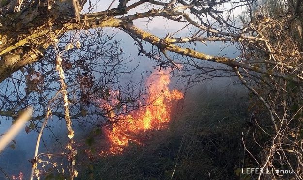 Και πάλι πυρκαγιά στην Λήμνο, πήρε φωτιά μέχρι και κολόνα της ΔΕΗ - Φωτογραφία 5